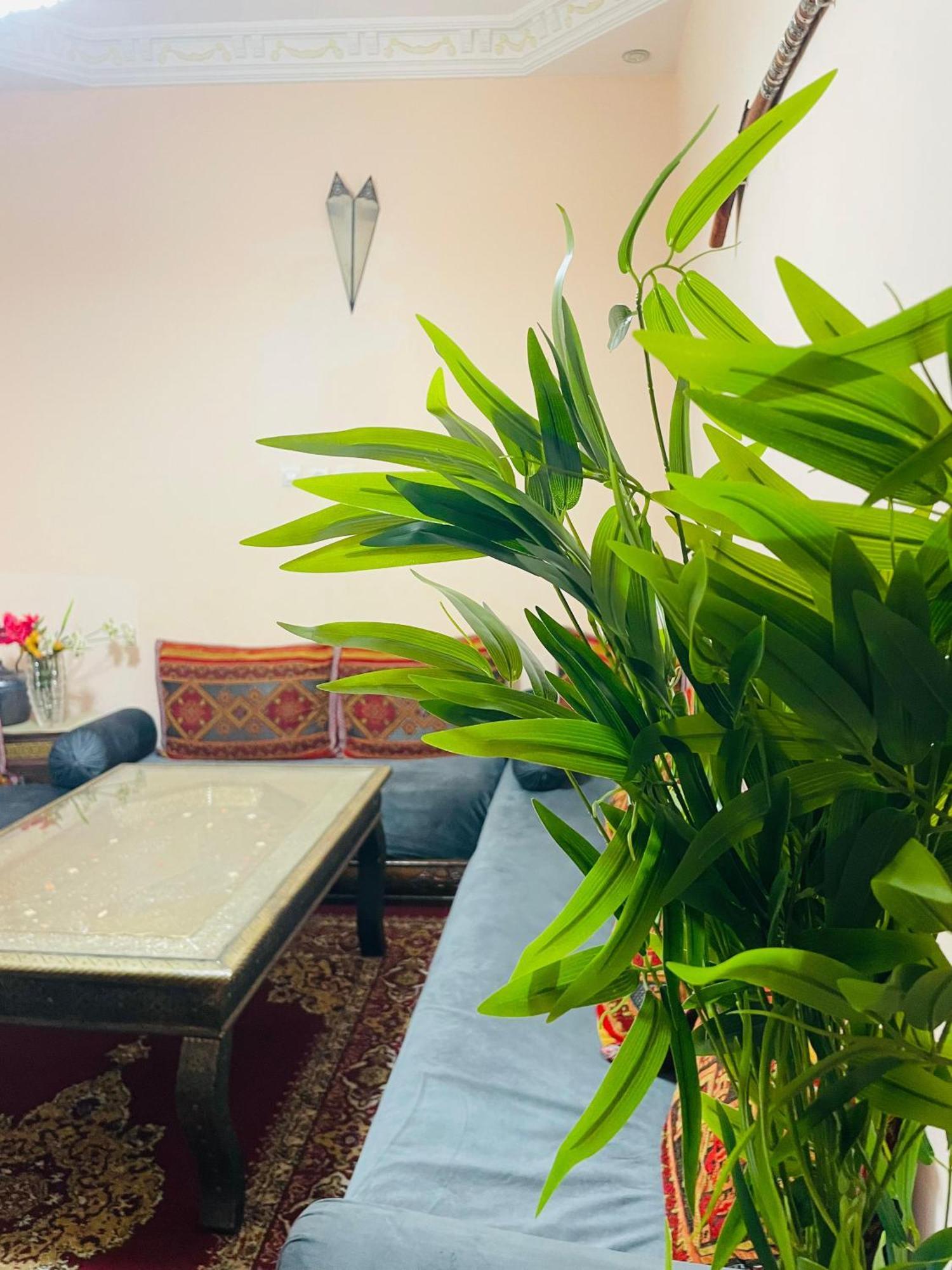 Ms Holidays Terrasse Privatise Marrakech * Marrakesh