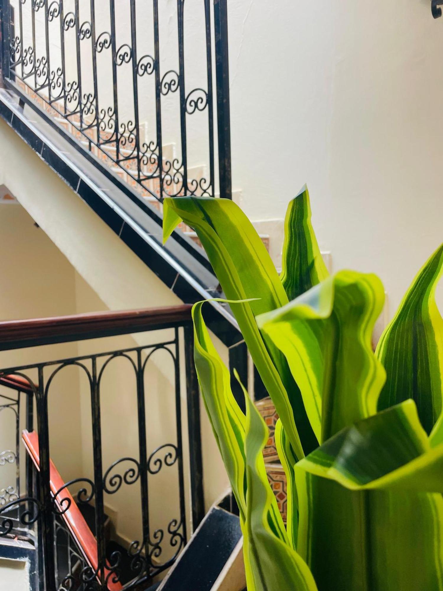 Ms Holidays Terrasse Privatise Marrakech Apartment